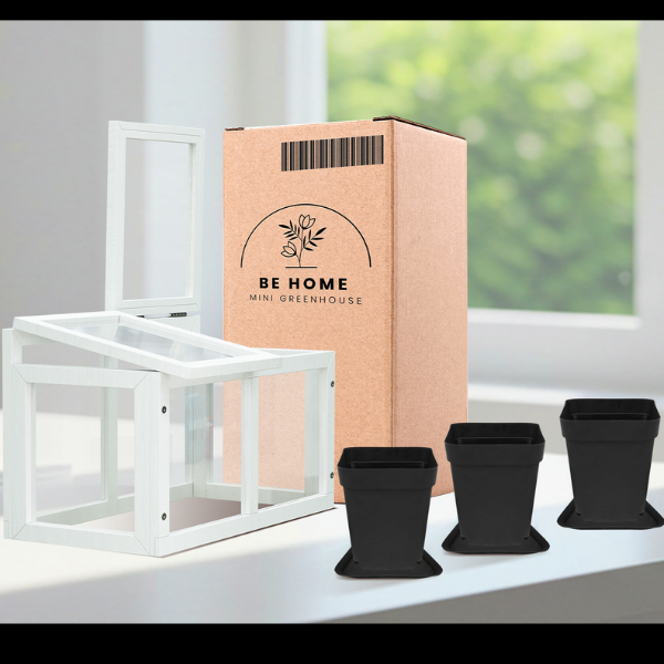 Starter-friendly tabletop greenhouse setup